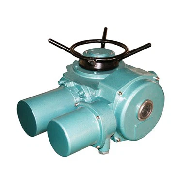 DZW30-18W/Z/T DZW45-24W/Z/T Servomotor electric